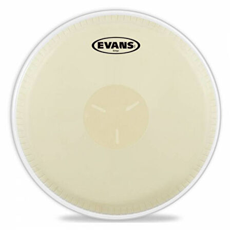 EVANS EB0709