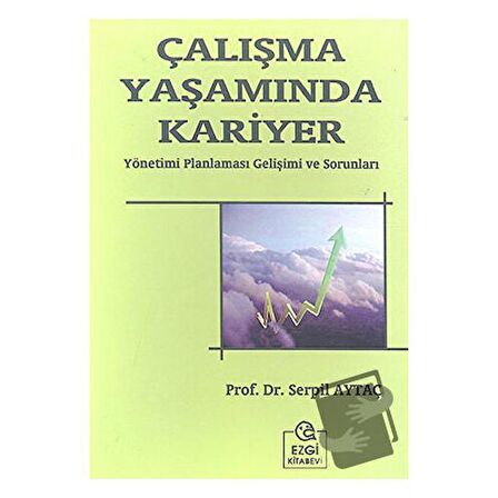 Çalışma Yaşamında Kariyer