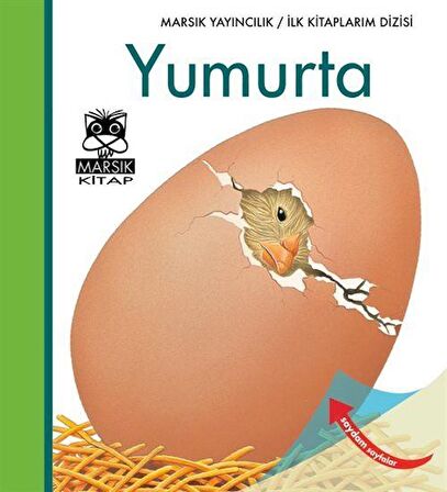 Yumurta