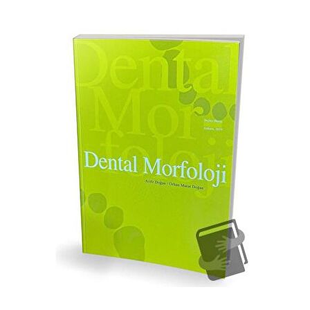 Dental Morfoloji