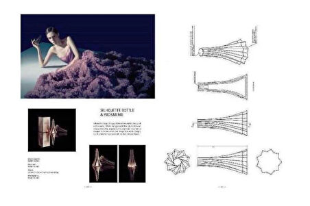 Structural Packaging Art (with DVD-ROM) (Ambalaj Tasarımları)