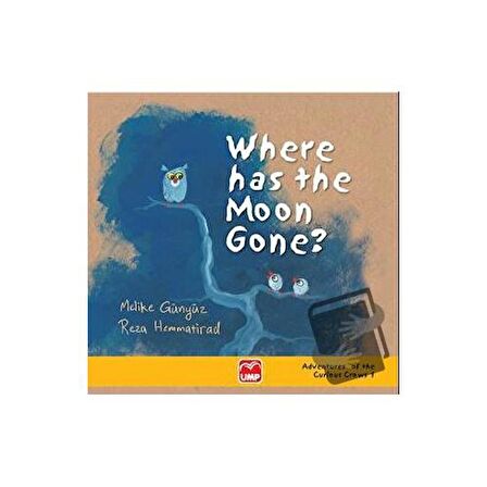 Where Has The Moon Gone ?