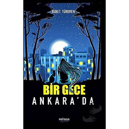 Bir Gece Ankara'da