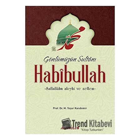 Gönlümüzün Sultanı Habibullah (s.a.s)