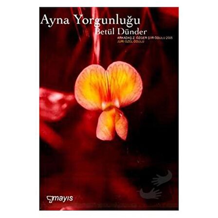 Ayna Yorgunluğu