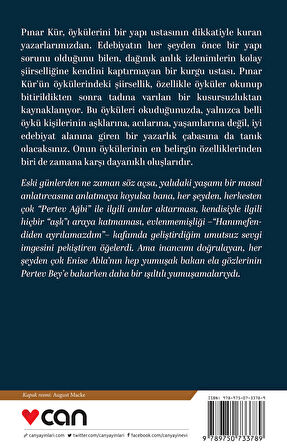 Akışı Olmayan Sular