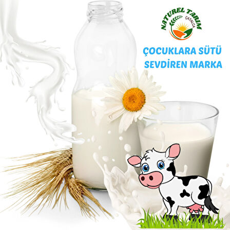 NATUREL  JERSEY İNEK SÜTÜ 2 LİTRE