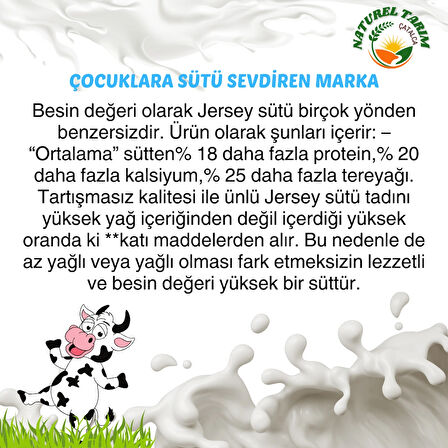NATUREL  JERSEY İNEK SÜTÜ 2 LİTRE