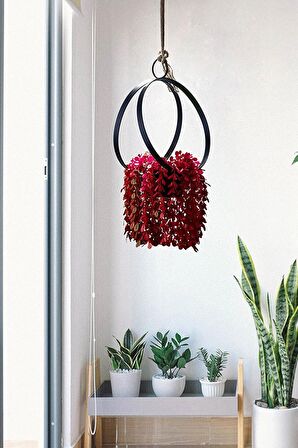 Flower Tavana Asılan Siyah Ferforje Çiçeklik Bahçe Balkon Çiçek Saksı Dekoratif Duvar Saksılık Askı