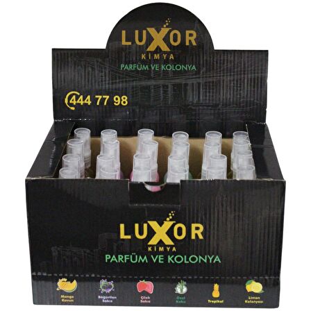 Luxor Kimya 12 Adet 200 Ml Ev & Oto Koku Seti Özel Kutulu