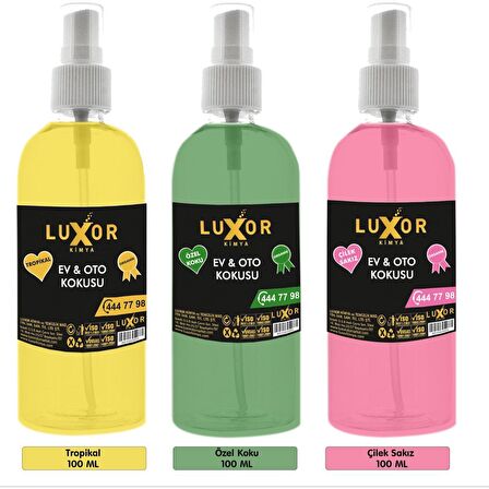 Luxor Kimya Tropikal  Özel Koku Çilek Sakız 100ML 3'lü Set