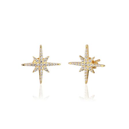 Zirkon Taşlı Pırlanta Montür Kutup Yıldızı Gümüş Küpe