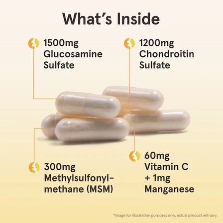 Glucosmaine Chondroitin + MSM Joint Health Complex 120 Capsules