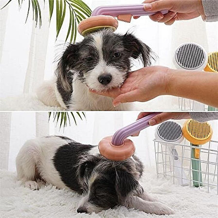 Plastik Evcil Hayvan Bakım Fırçası Kedi ve Köpek Tüy Temizleme Tarak Yeşil