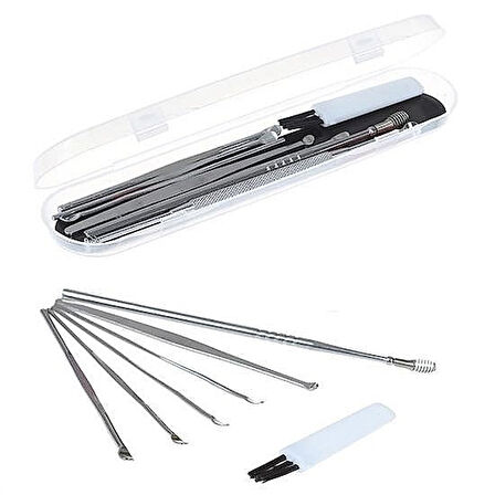 6 Parça Paslanmaz Çelik Kulak Temizleme Seti (Balmumu Çıkarma ve Bakım Aparatı)