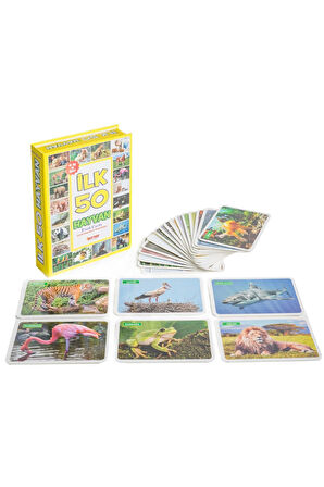 4'lü Eğitim Seti - Ilk 50 Sözcük, Meyveler, Hayvanlar Ve Bebeğimin Zeka Kartları Eğitici Oyun Kart