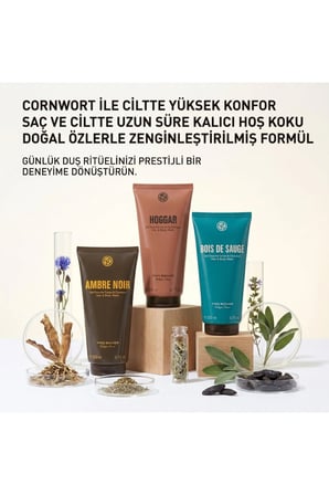 3'lü Erkek Saç ve Vücut Şampuanı Paketi Aromatik Baharatlı 200 ml x3 Bölmeli
