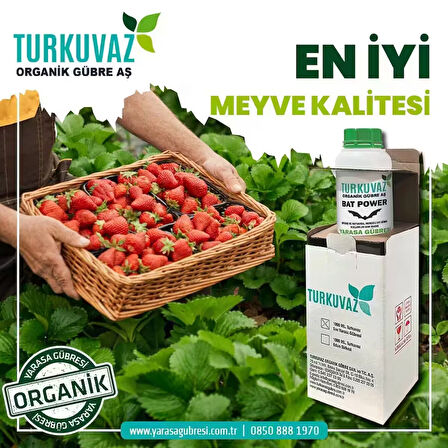 Turkuvaz 500 Gr Bat Power Organik Toz Yarasa Gübresi (Katkısız-Yüksek Fosfor)