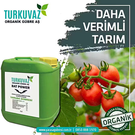 Turkuvaz 500 Gr Bat Power Organik Toz Yarasa Gübresi (Katkısız-Yüksek Fosfor)
