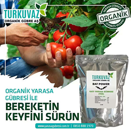Turkuvaz 500 Gr Bat Power Organik Toz Yarasa Gübresi (Katkısız-Yüksek Fosfor)