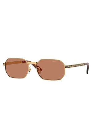 Versace VE2297 100273 54 Erkek Güneş Gözlüğü