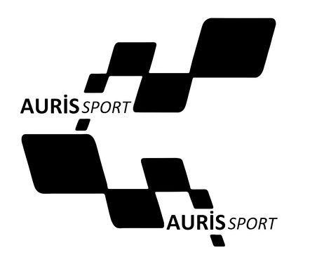 AURİS sport Etiket Yapıştırma 30cmx11cm MMD154