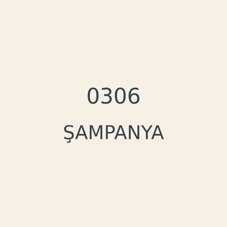 casati̇ 2,5lt şampanya 0306 su bazli panel kapi boyasi (a)