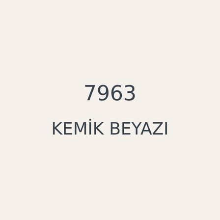 casati̇ 2,5lt kemi̇k beyazi 7963 su bazli panel kapi boyasi (a)