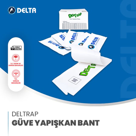 Feromonlu Gıda Ve Kiler Güvesi Tuzağı 2 Kağıt - Pheromone Moth Catcher Trap Sticky Glue Board Kitchen Food Clothes Protection Safe Trap
