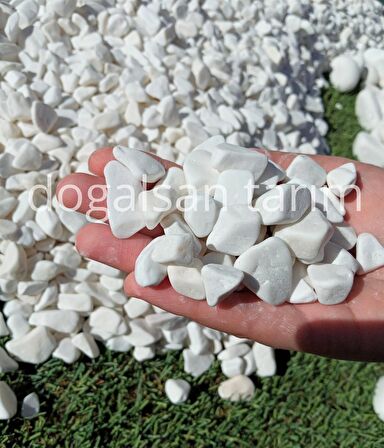 Dolomit Taş Beyaz Taş 1 Kg 1-2 Cm Dere Taşı Çakıl Taşı Dolamit