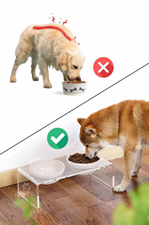 2'li Seramik Dekoratif Kedi Ve Köpek Pleksi Mama & Su Kabı Paspas