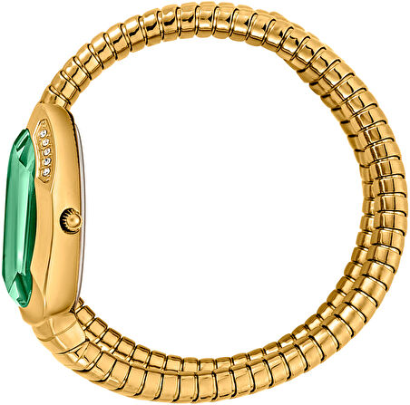 Just Cavalli JC1L209M0045