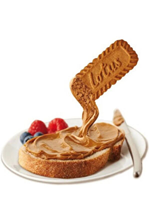 biscoff kreması spread sürülebilir bisküvi krema 720 gr