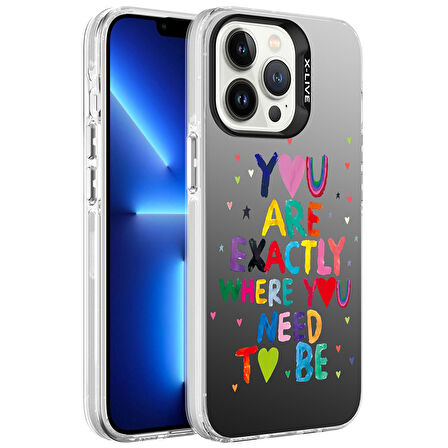 iPhone 13 Pro Max Kılıf Desenli  Silver Sert Kapak