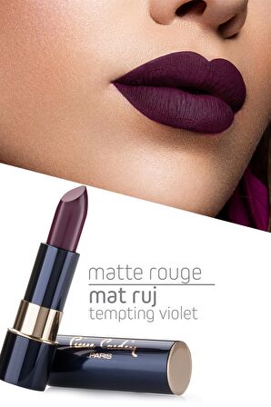 Pierre Cardin Matte Rouge Mat Ruj - Tempting Violet