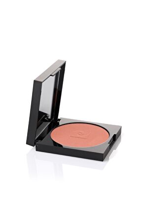 Pierre Cardin Porcelain Edition Blush On - Allık - Rosy Plum