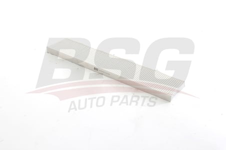 BSG POLEN FILTRESI E919LI / LA226 (KARBONSUZ)