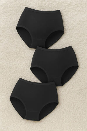 Kadın İç Giyim Penye Elastan 3 Adet Siyah - Beyaz - Ten Hamile Külot LL.K50.O11.001