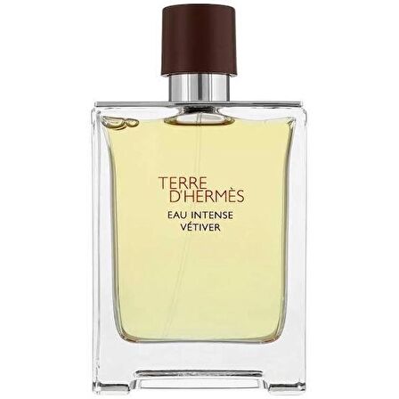 Hermes Terre D'Hermes Eau Intense Vetiver Edp 100 ml Erkek Parfümü