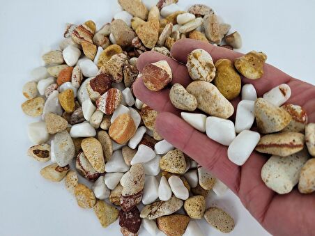 Saksı Dibi Taşı 5 Kg 1-2 cm Karışık Renkli Çakıl Taşı Vazo Dibi T