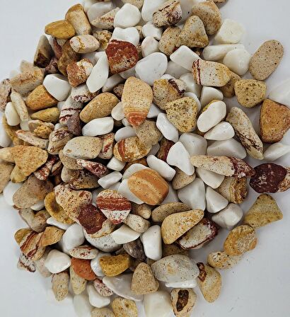 Saksı Dibi Taşı 4 Kg 1-2 cm Karışık Renkli Çakıl Taşı Vazo Dibi T