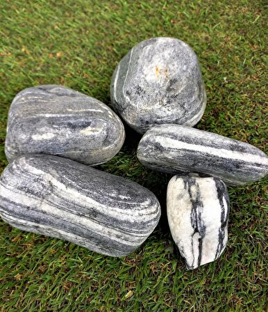 Siyah Beyaz Çizgili Dolomit Taş 3 Kg 6-10 Cm Dekoratif Renkli Taş