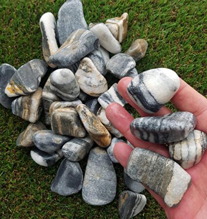 Siyah Beyaz Çizgili Dolomit Taş 3 Kg 2-4 Cm Dekoratif Renkli Taş