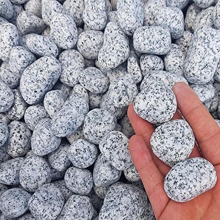 Benekli Dolomit Taş 50 Kg 2-4 Cm Granit Bahçe Dere Taşı Çakıl Taşı