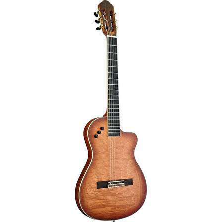 DMX Guitars GX10CE Elektro Klasik Gitar