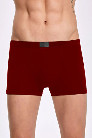 Erkek İç Giyim Bambu & Esnek 3 Adet Boxer Seti LL.IL16.KE063.001