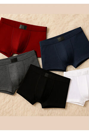 Erkek İç Giyim Bambu & Esnek 5 Adet Boxer Seti Ekonomik Paket LL.IL16.KE065.001