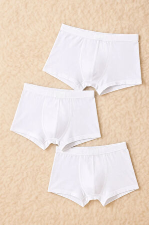 Erkek İç Giyim Bambu & Esnek 3 Adet Boxer Seti LL.IL16.KE063.001