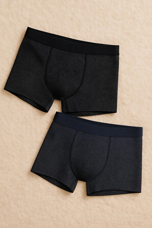 Erkek İç Giyim 2 Adet Modal & Pamuklu Esnek Şal Desen Boxer LL.IL16.KE042.001