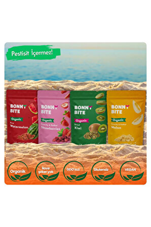 KURUTULMUŞ ORGANİK KARPUZ, ÇİLEK, KİVİ & ÇITIR KAVUN 4'LÜ PAKETİ